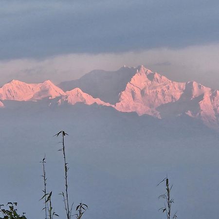 Lama Homestay Дарджилинг Экстерьер фото