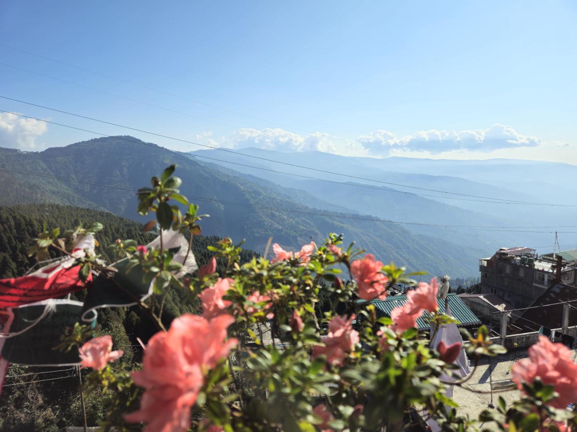 Lama Homestay Дарджилинг Экстерьер фото