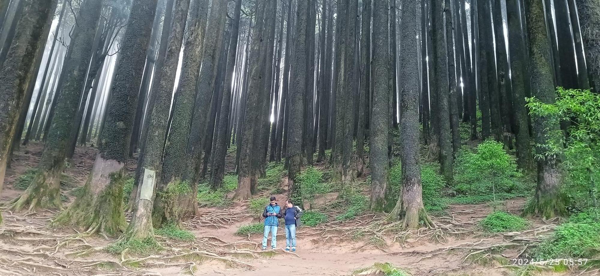 Lama Homestay Дарджилинг Экстерьер фото